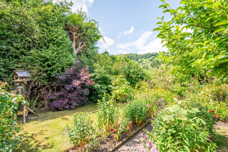 Garden- click for photo gallery